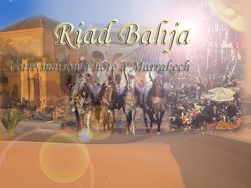 מרקש Riad Bahja מראה חיצוני תמונה